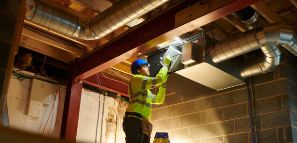 Best Home Air Vent Cleaning  in Fox Lake, WI