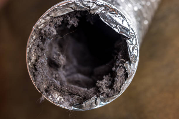 Best Affordable Air Duct Cleaning  in Fox Lake, WI