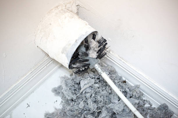 Best Residential Air Duct Cleaning  in Fox Lake, WI